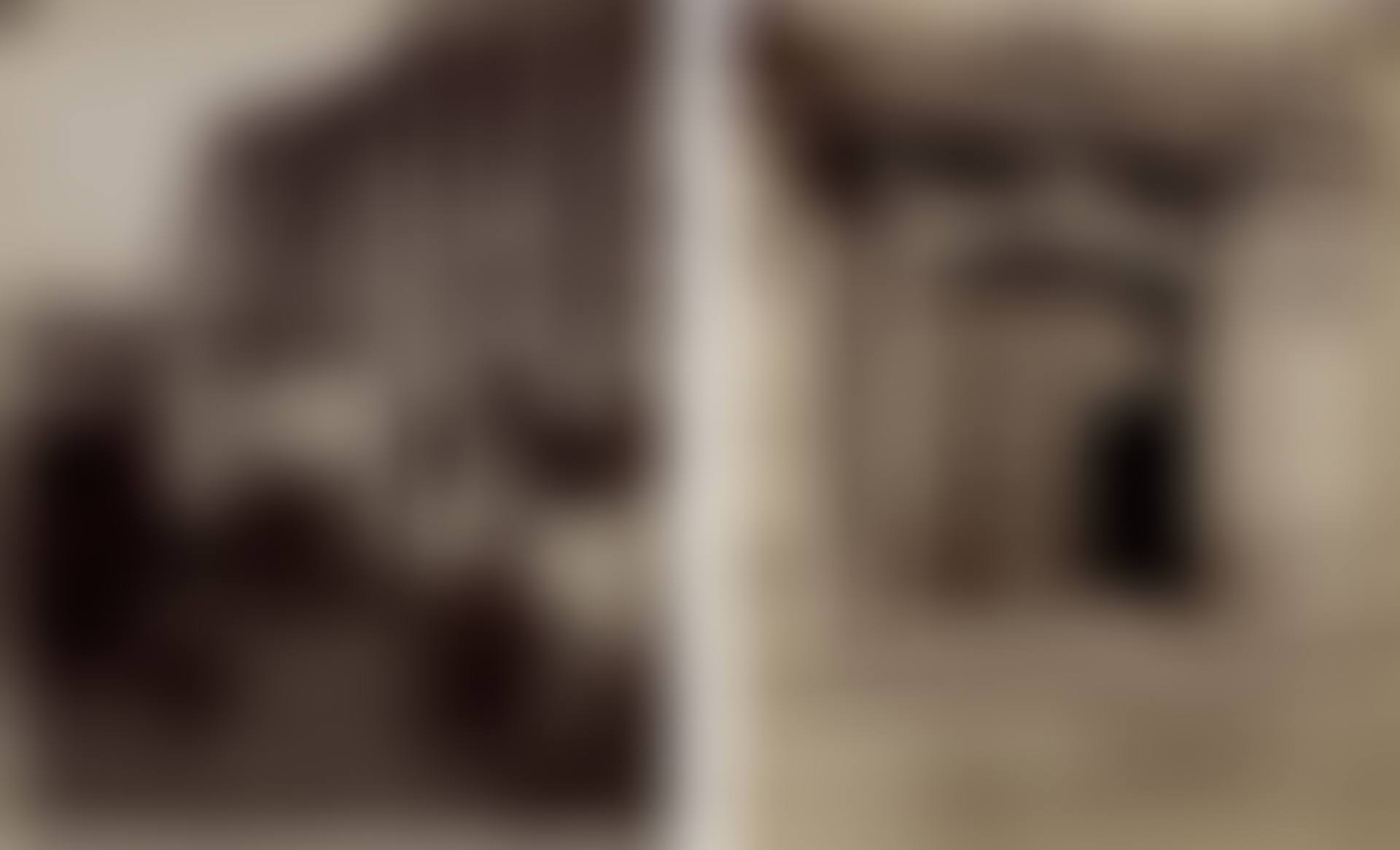 Selected Images of Paris (preview)