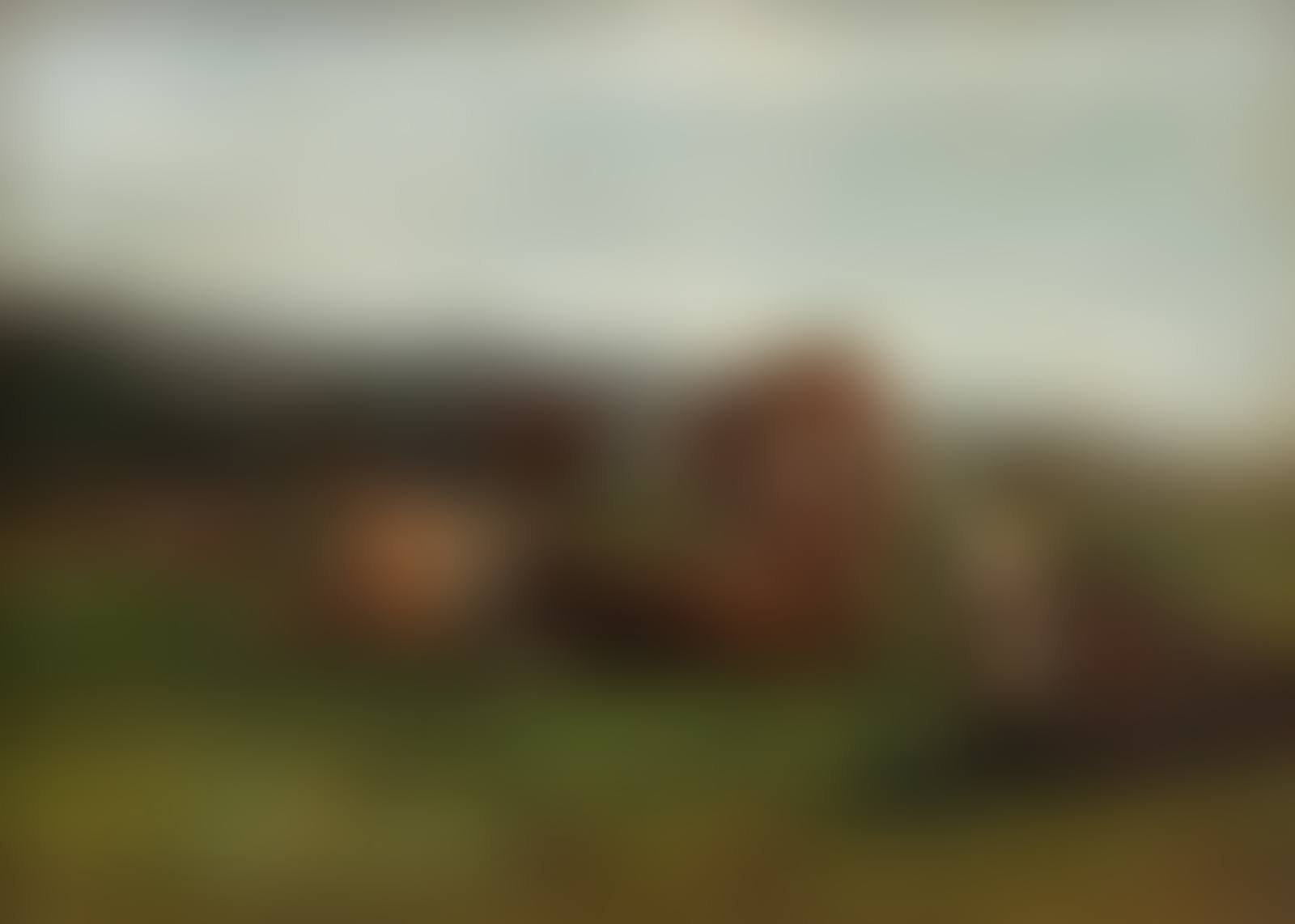 tude des vaches (preview)