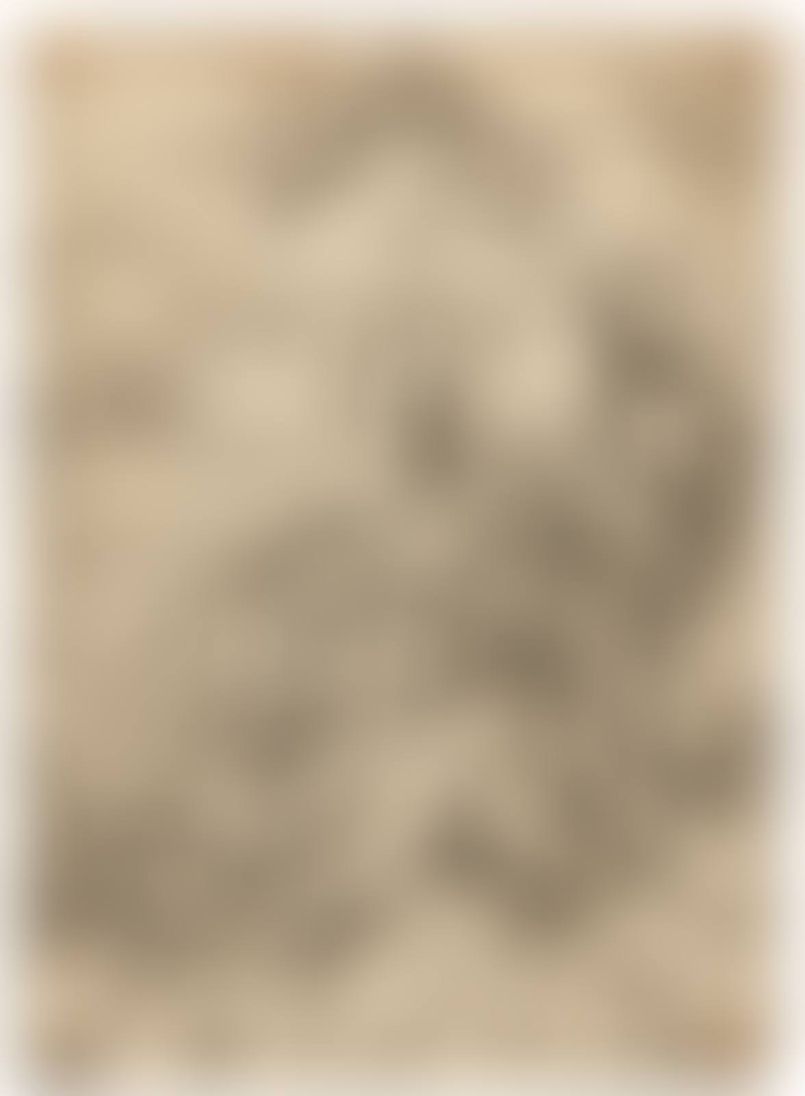 The holy family with three hares (preview)