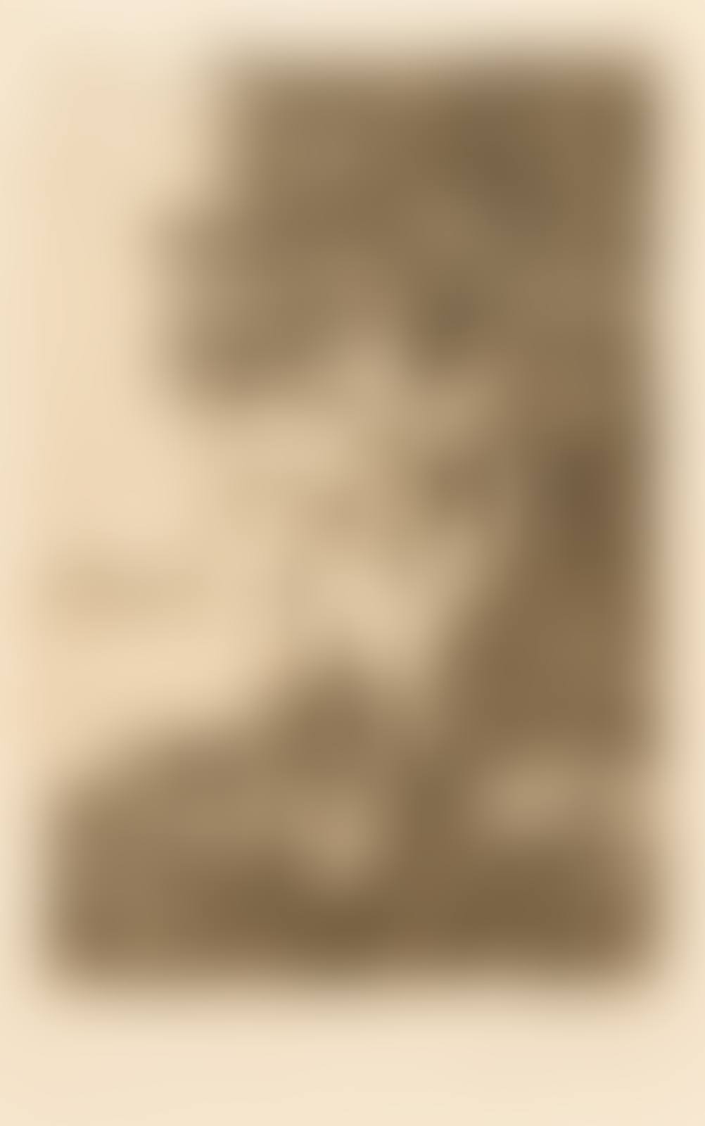 Alder (preview)