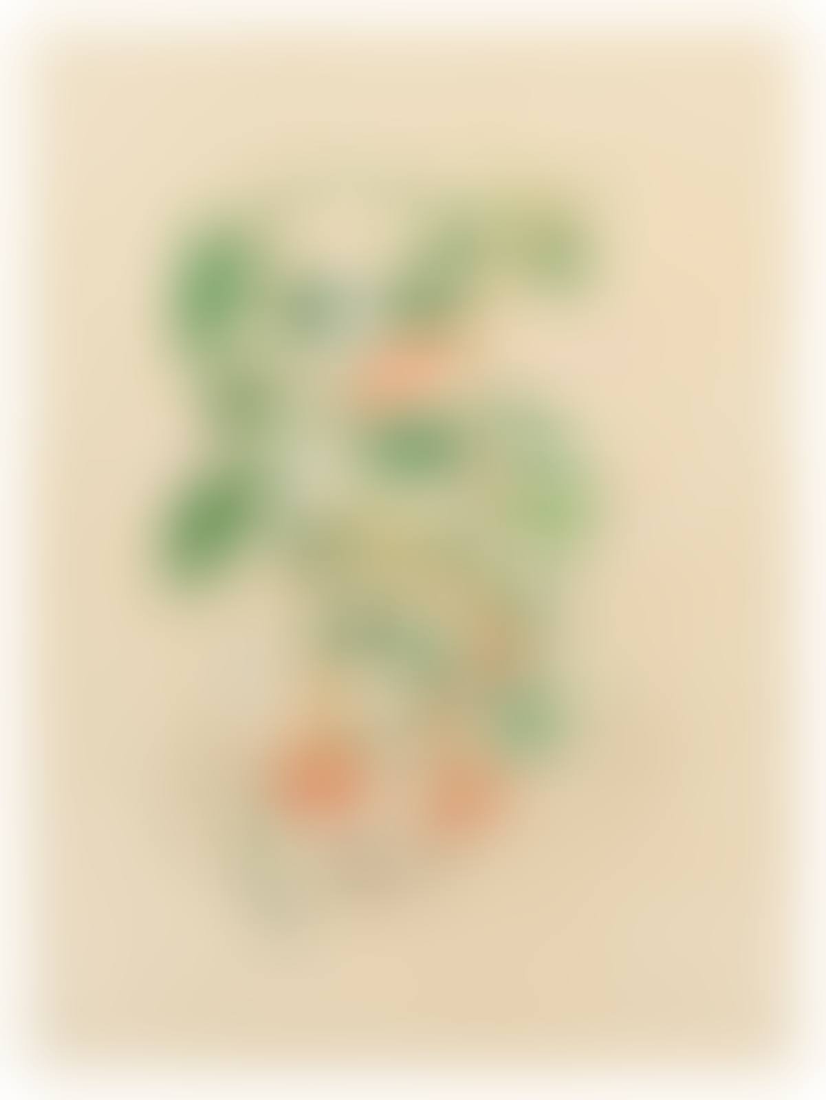 lithograph (preview)