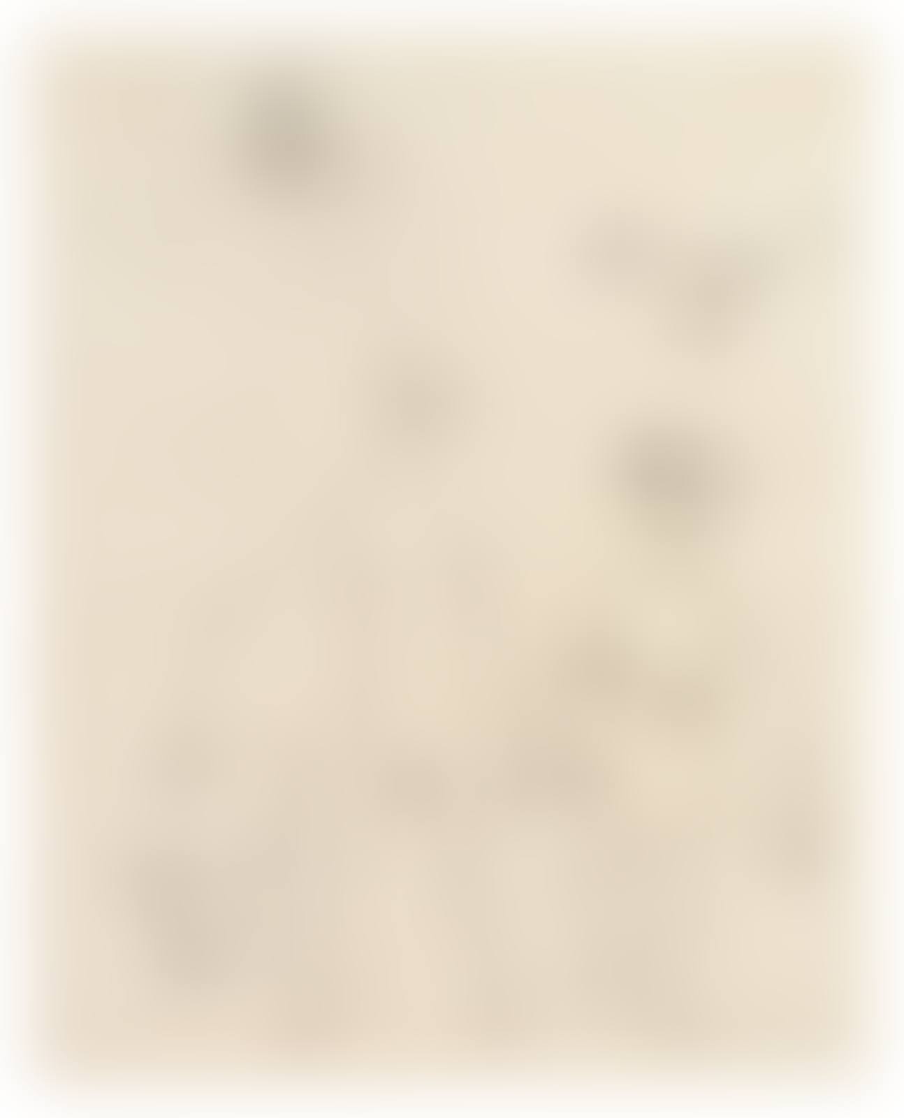 Ohne titel (nude couple with dog and bird) (preview)