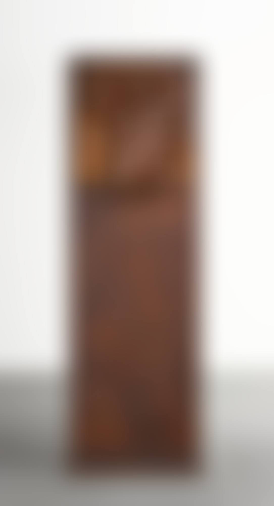 Torso Ferito (preview)