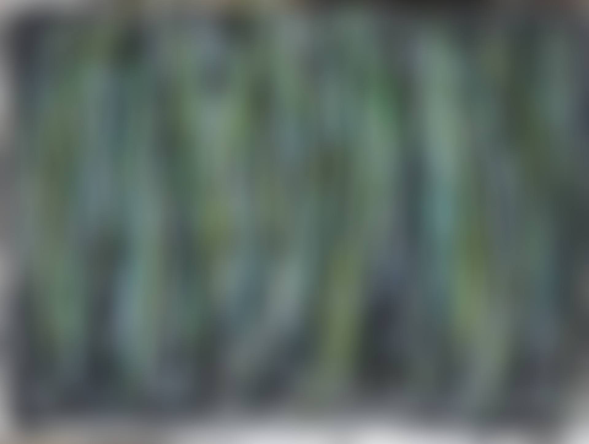Bodyscape 76-1-2019 (preview)