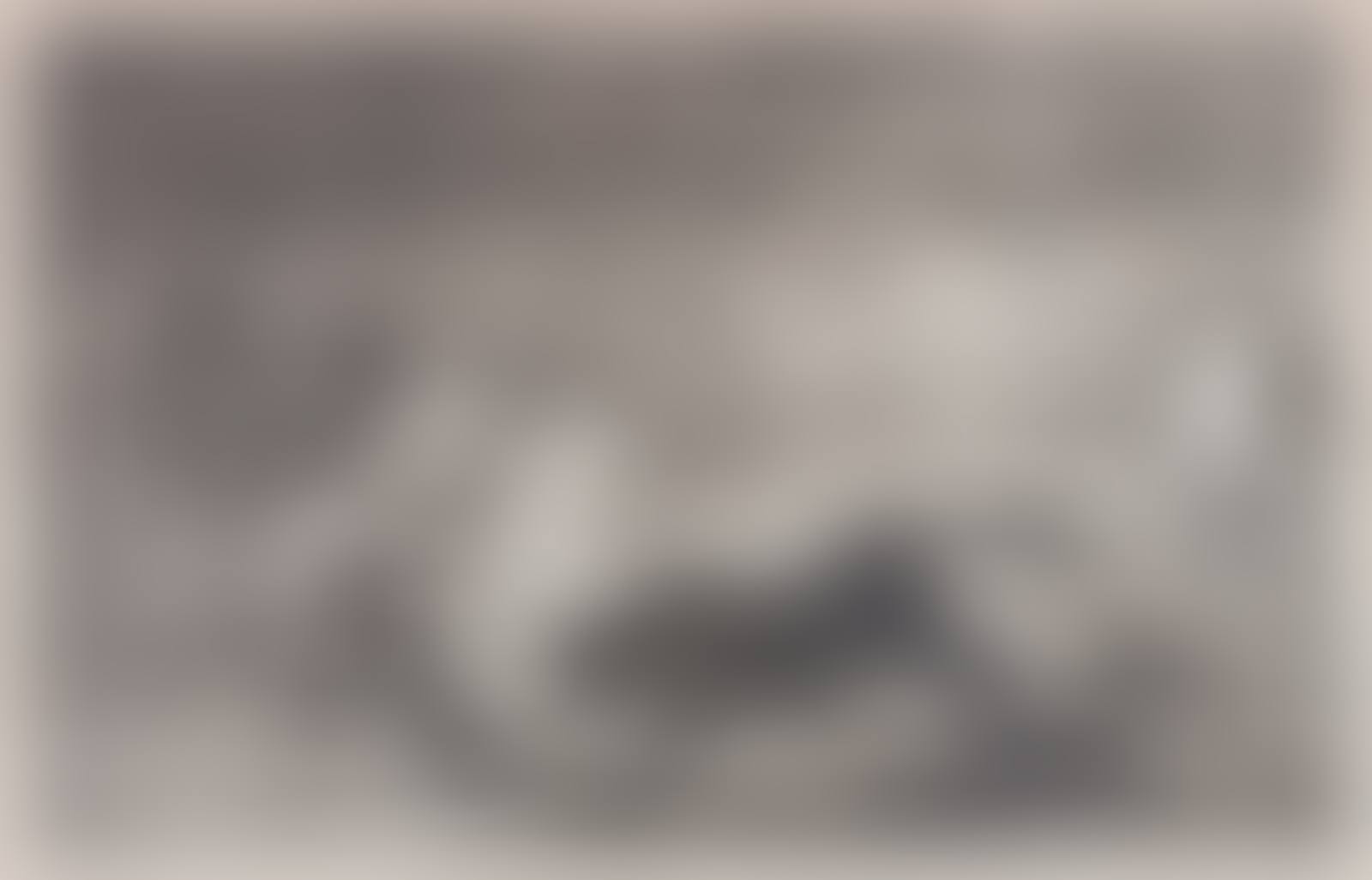 Bull with Fighter on Horseback (preview)