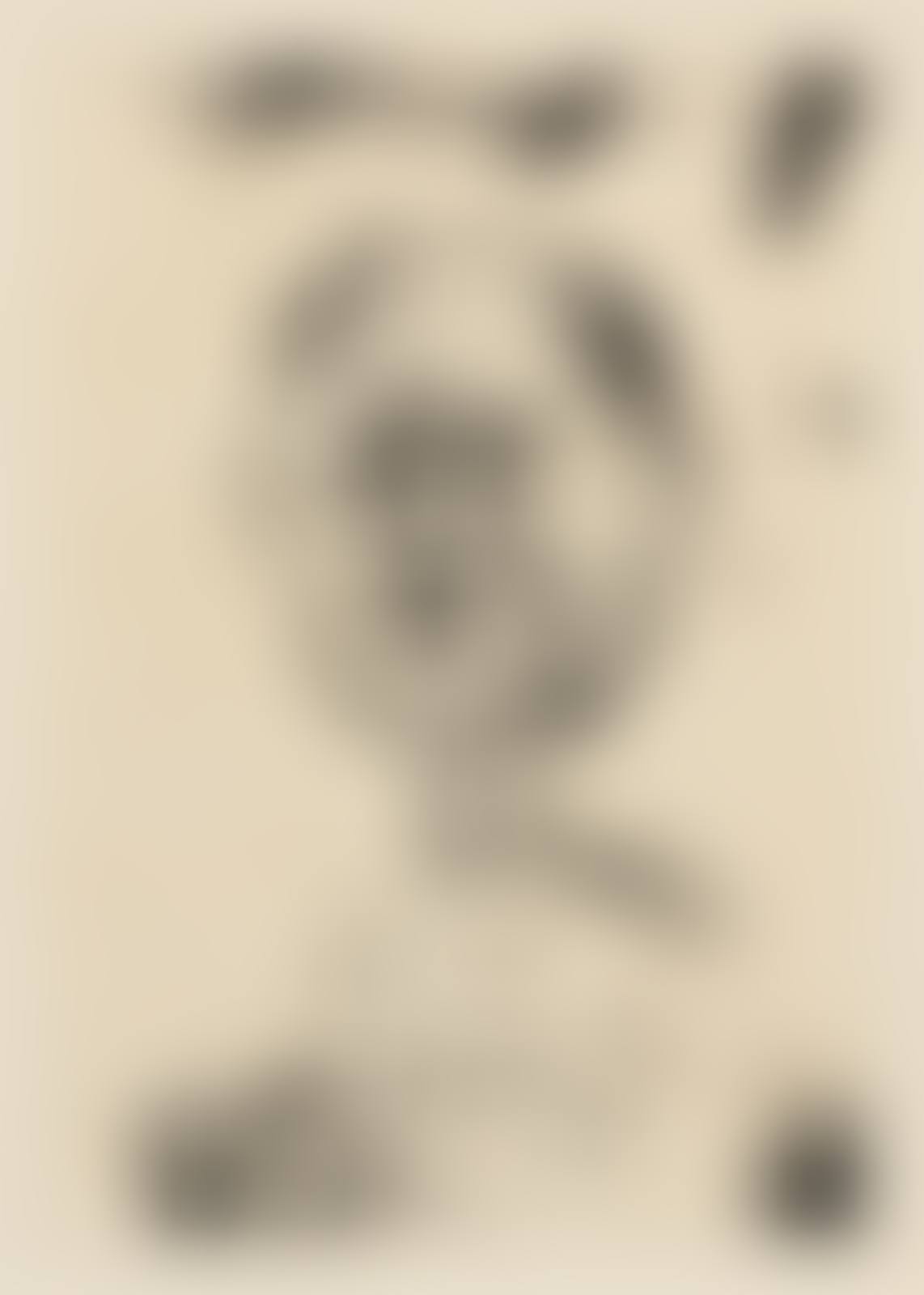 Kopf (Bartiger Mann) (Bearded Man) (preview)