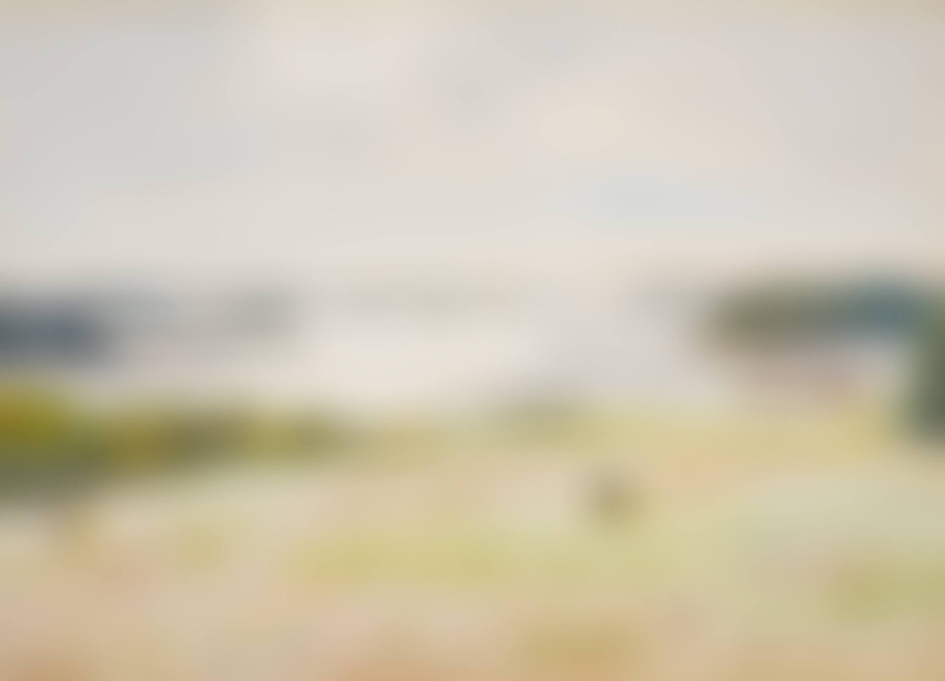 Morning Sun Over the South Meadow (preview)