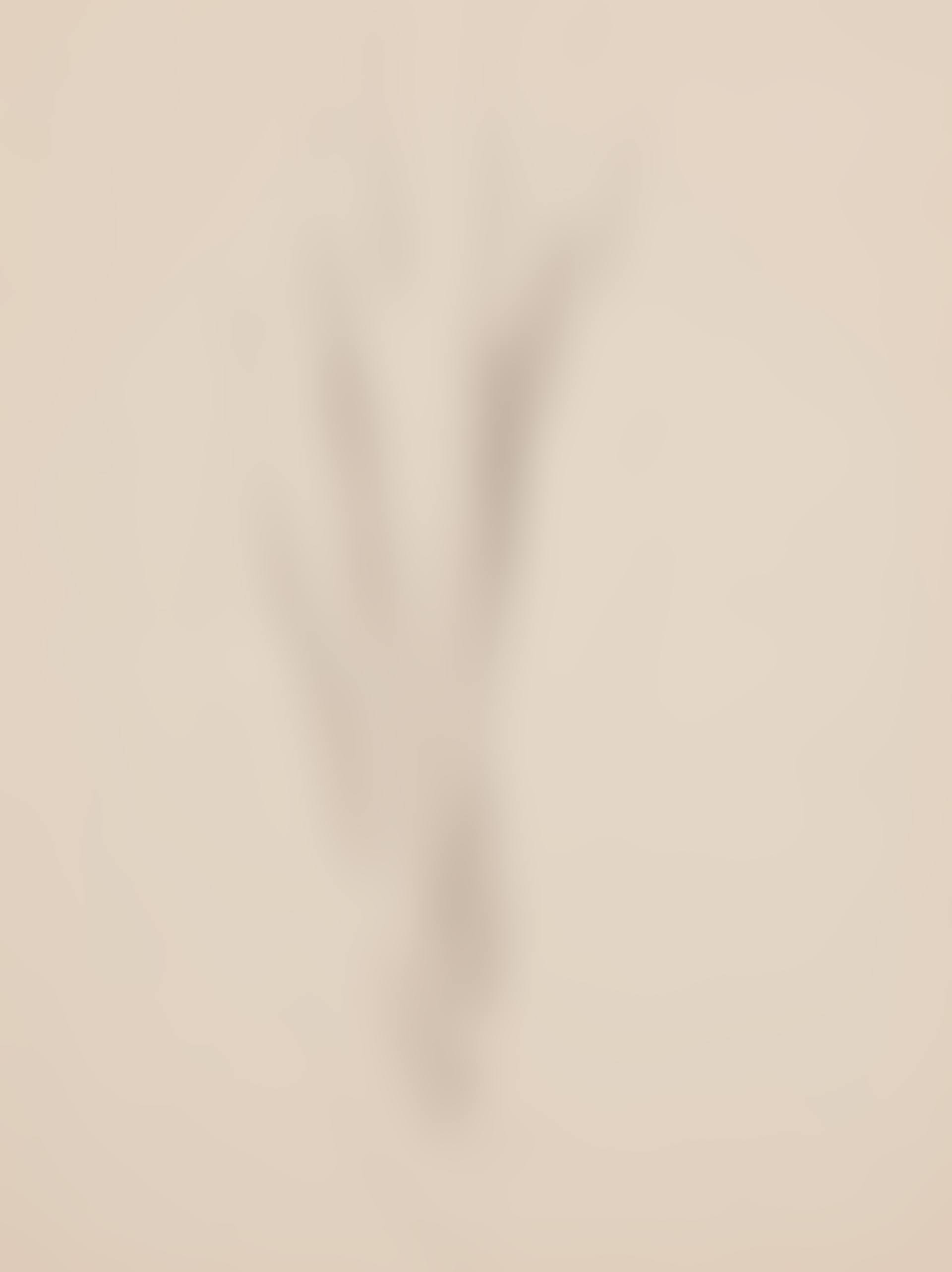 Plant Form-Aloe (preview)