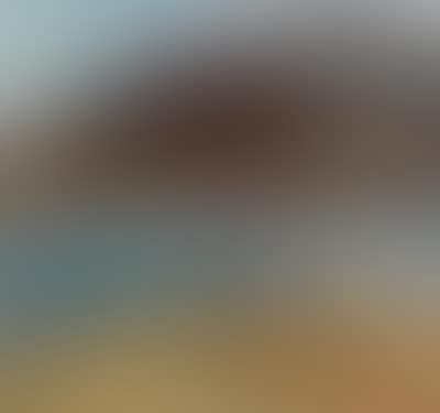 Swans on Keel Loch, Aran (preview)