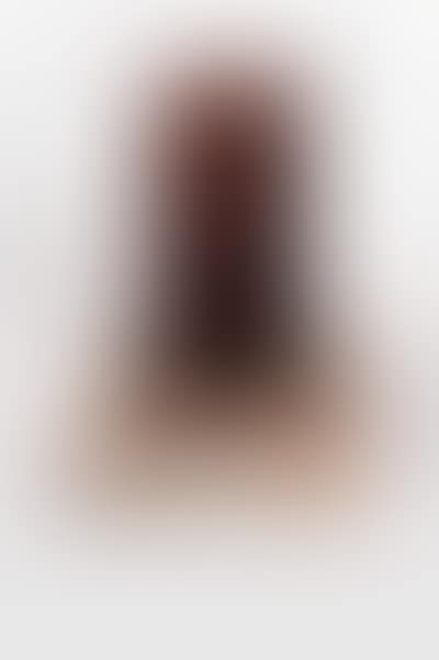Model for three plate piece (preview)