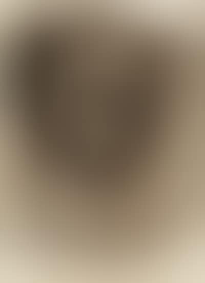 Self-portrait (preview)
