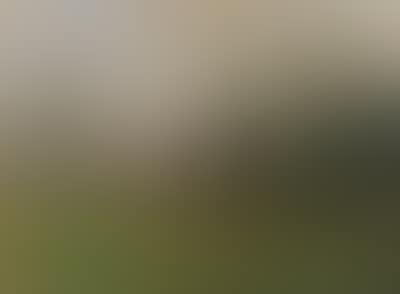 Paese (preview)