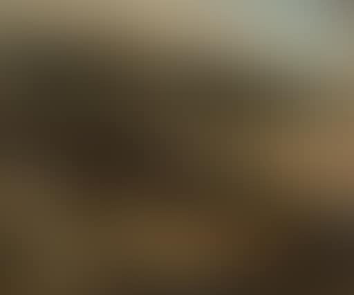 Extensive landscape (preview)