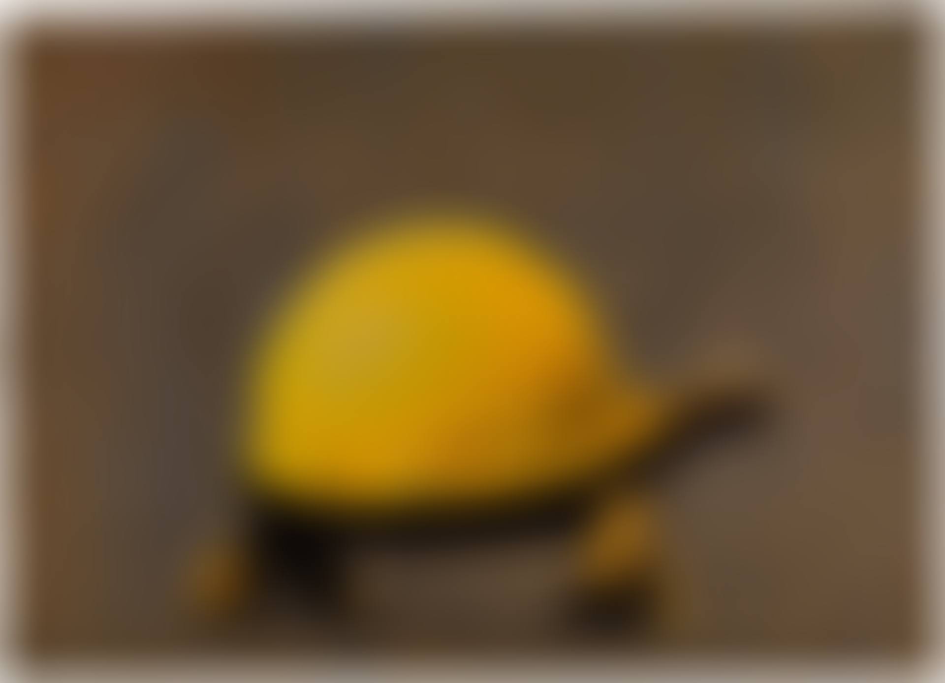 Tortoise Helmet (preview)