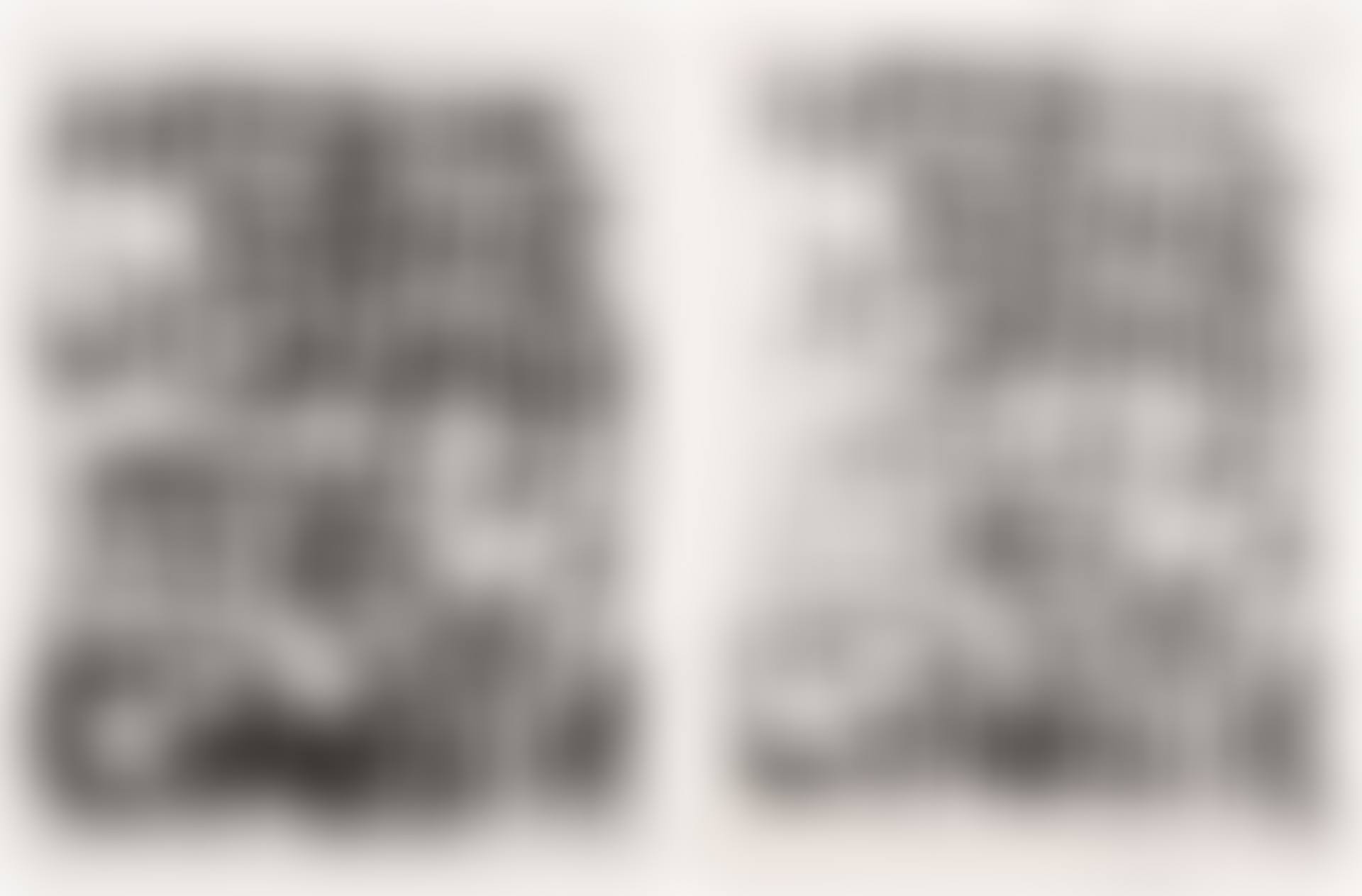 Untitled (2 works) (preview)