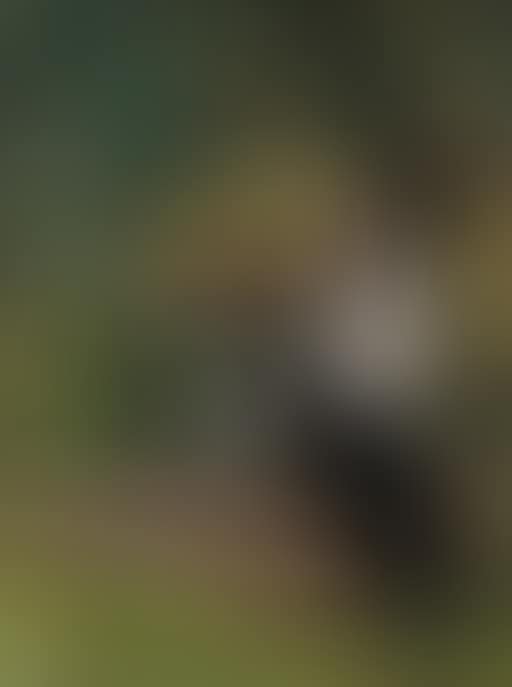 Young girl and her dog (preview)