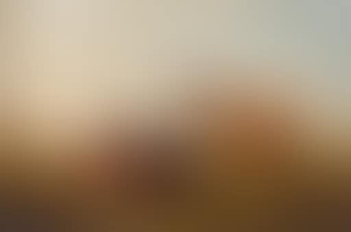 Cows in meadow (preview)