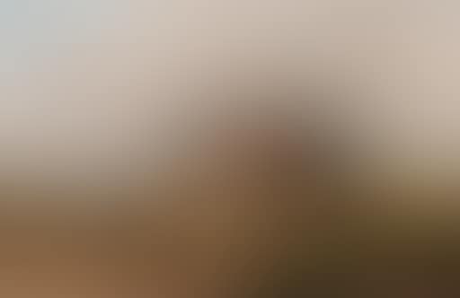 Cow and sheep on the cliffs (preview)