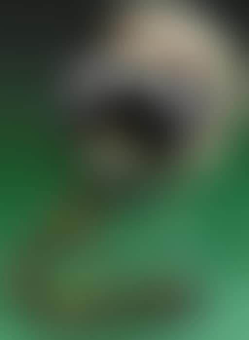 Garde Civique (preview)