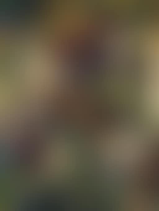 Composition, mosaic (preview)