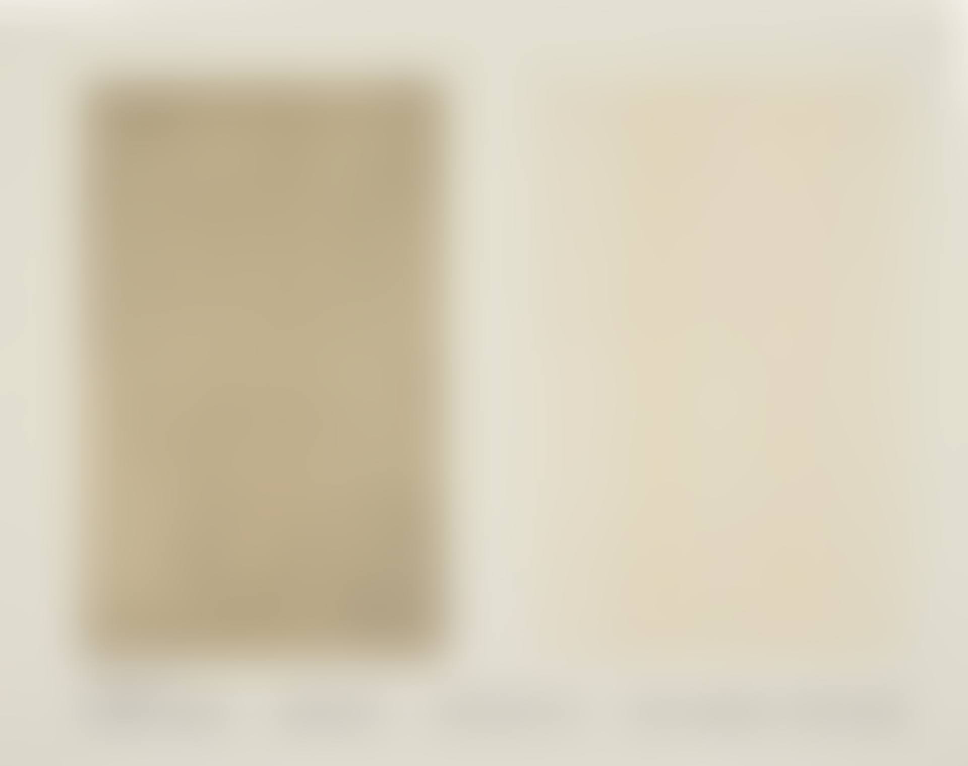Jasper Johns Drawings, January 10-31, Leo Castelli (preview)