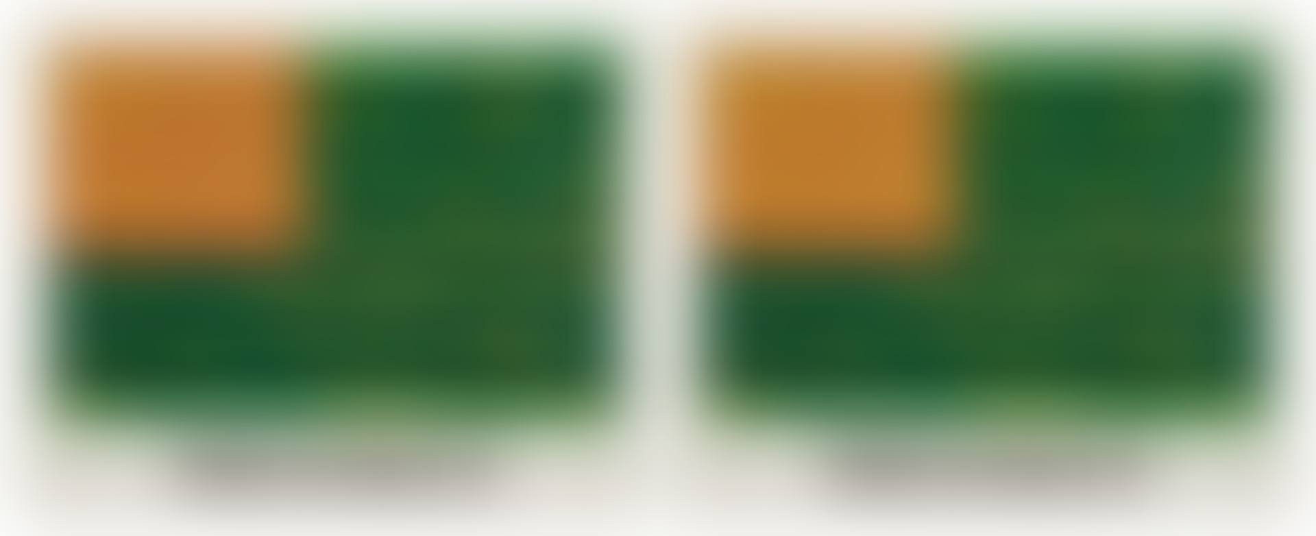 Flag (Moratorium) Poster: Two Examples (preview)