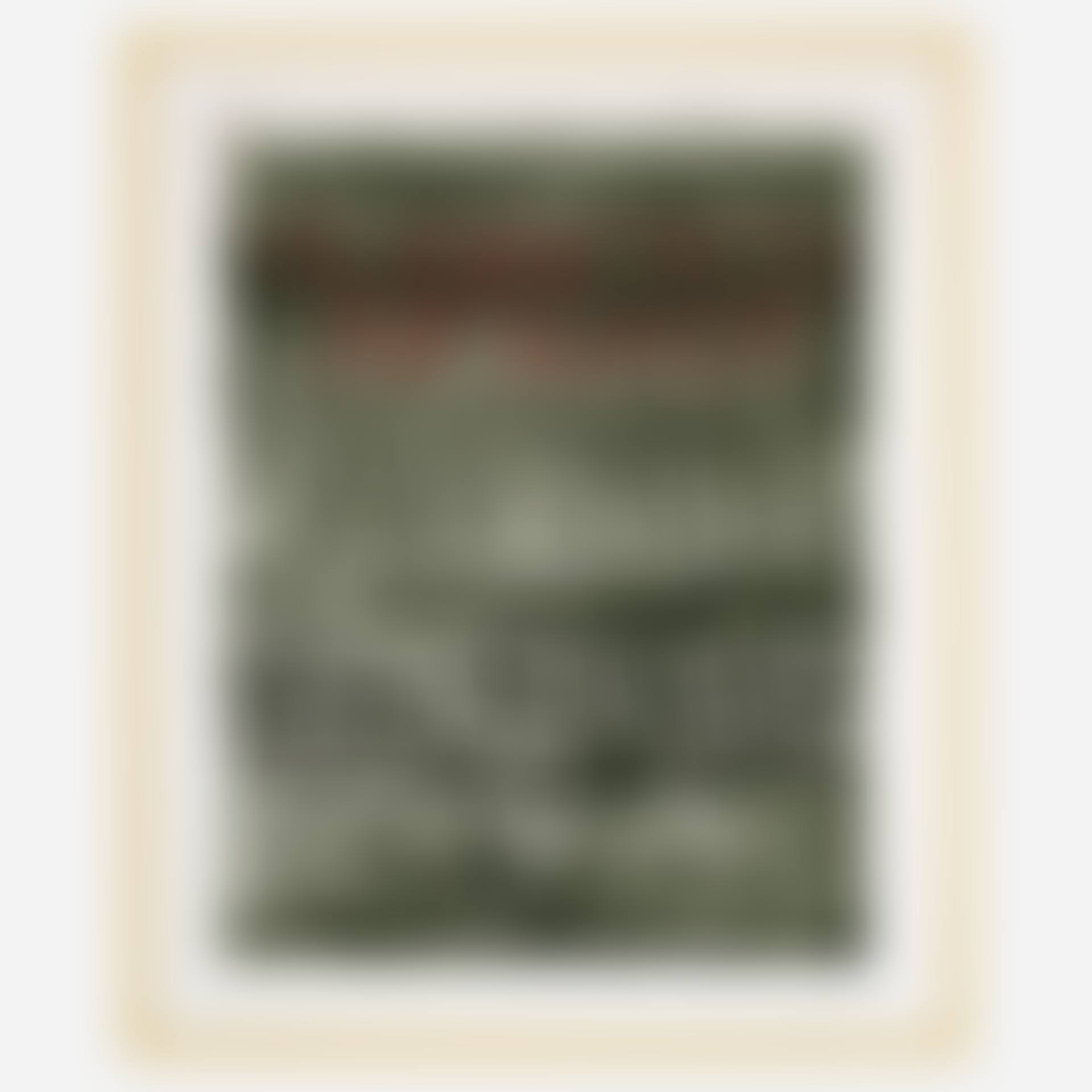 Suposter (preview)