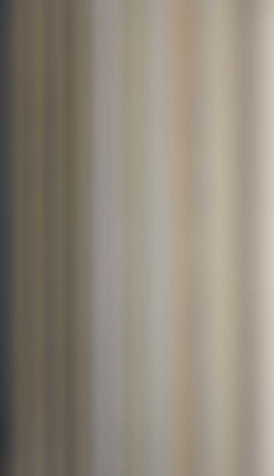 Totem (preview)