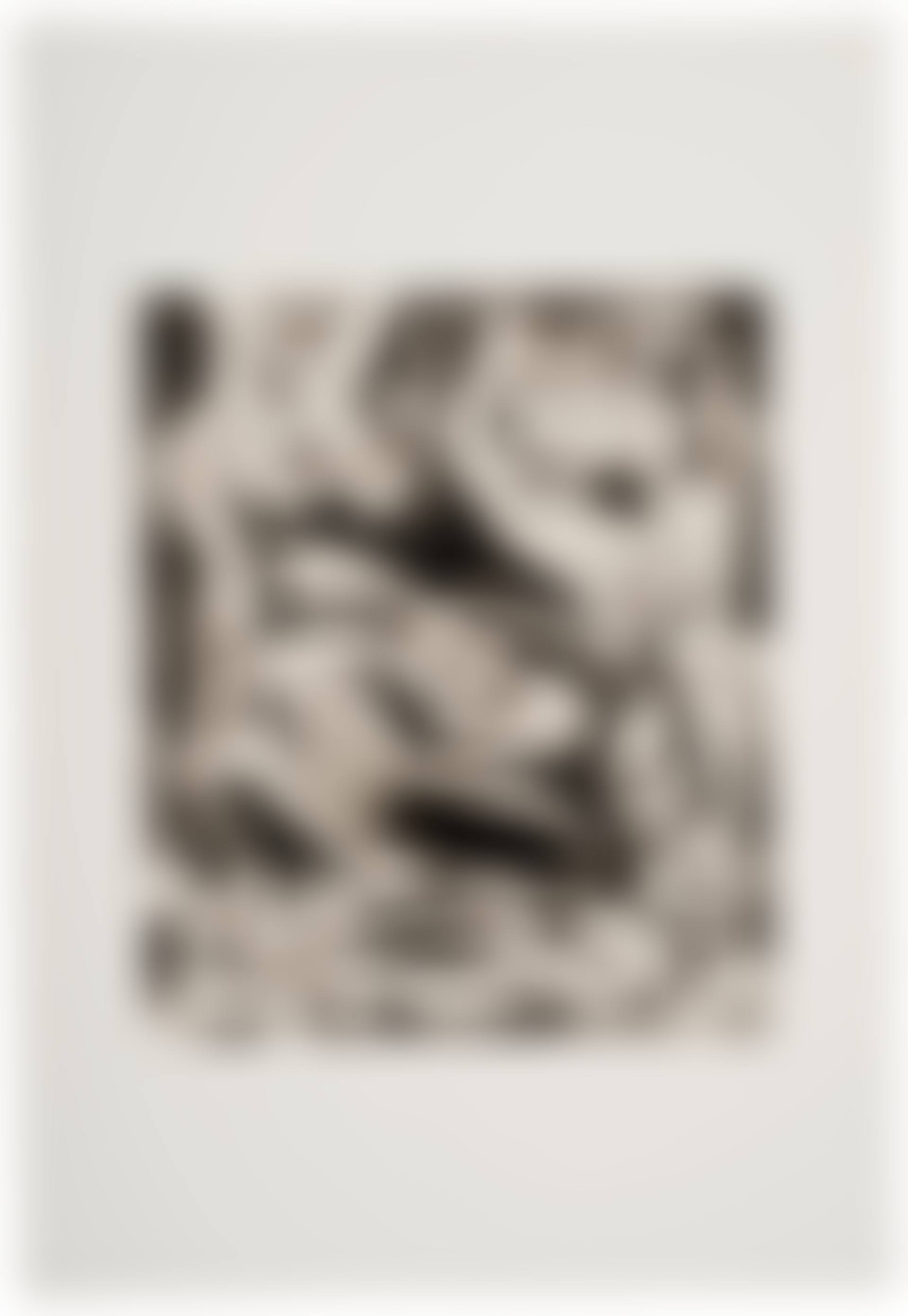 Untitled (P15) (preview)