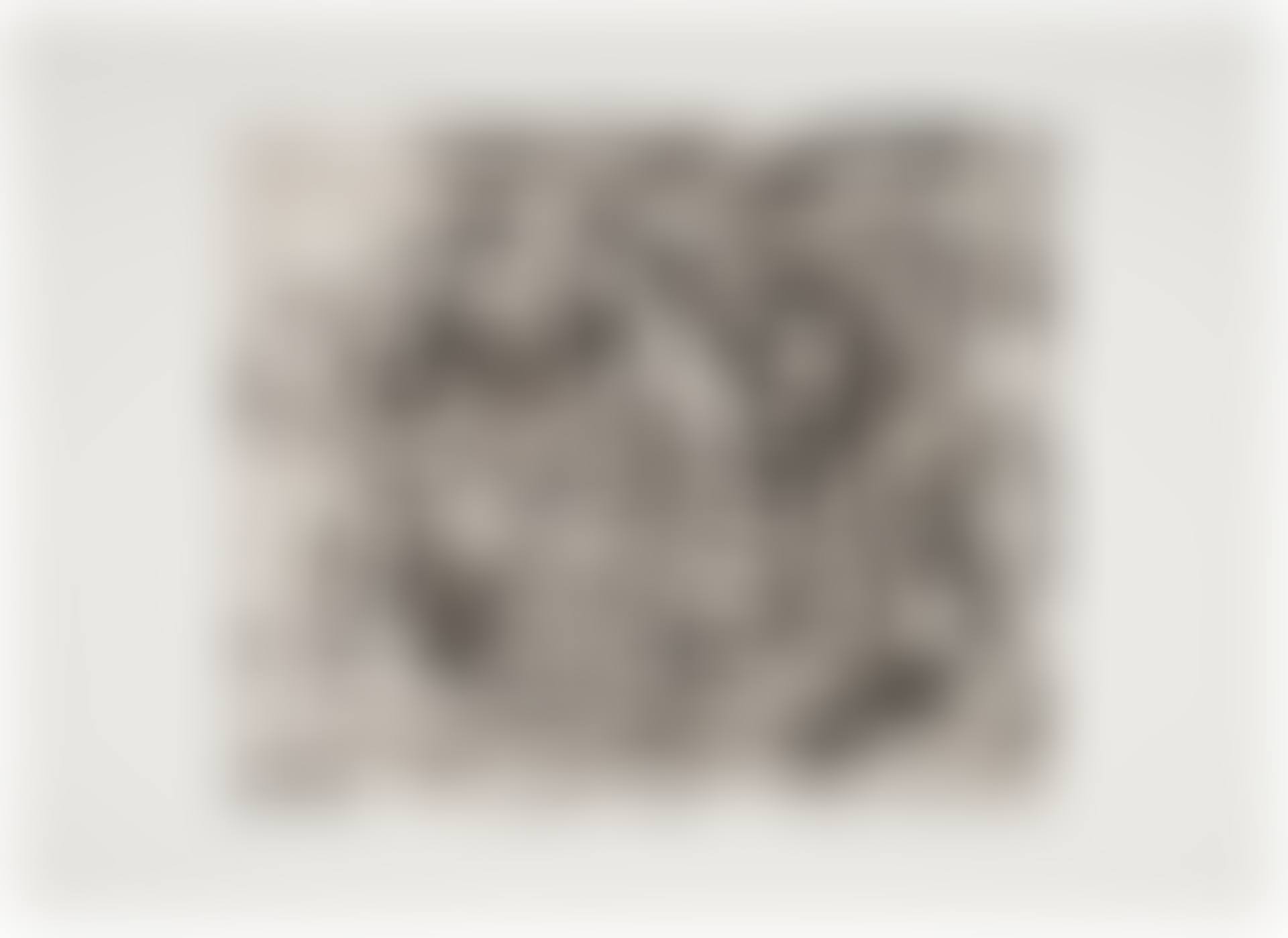 Untitled (P16) (preview)