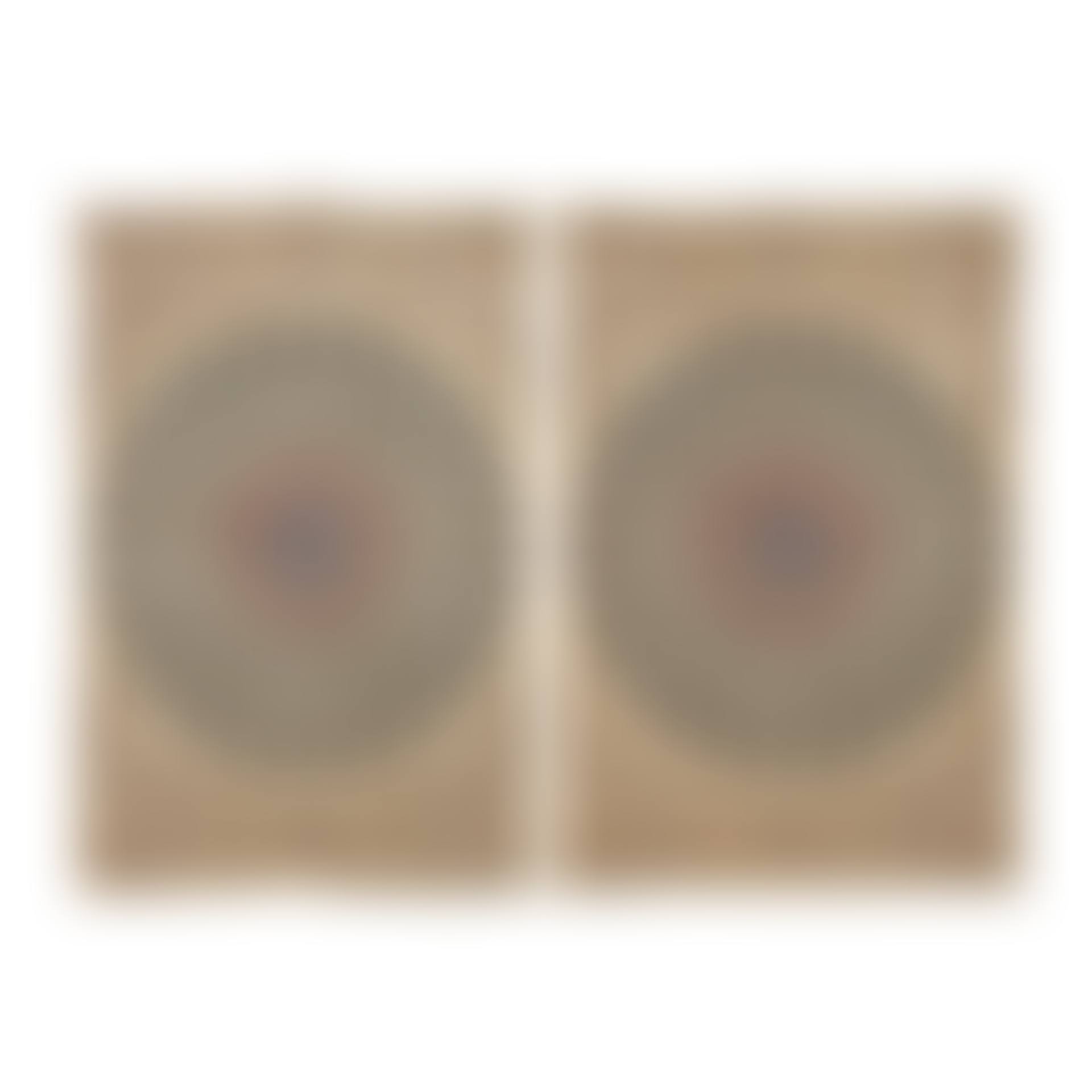 A pair of Nain carpets (preview)