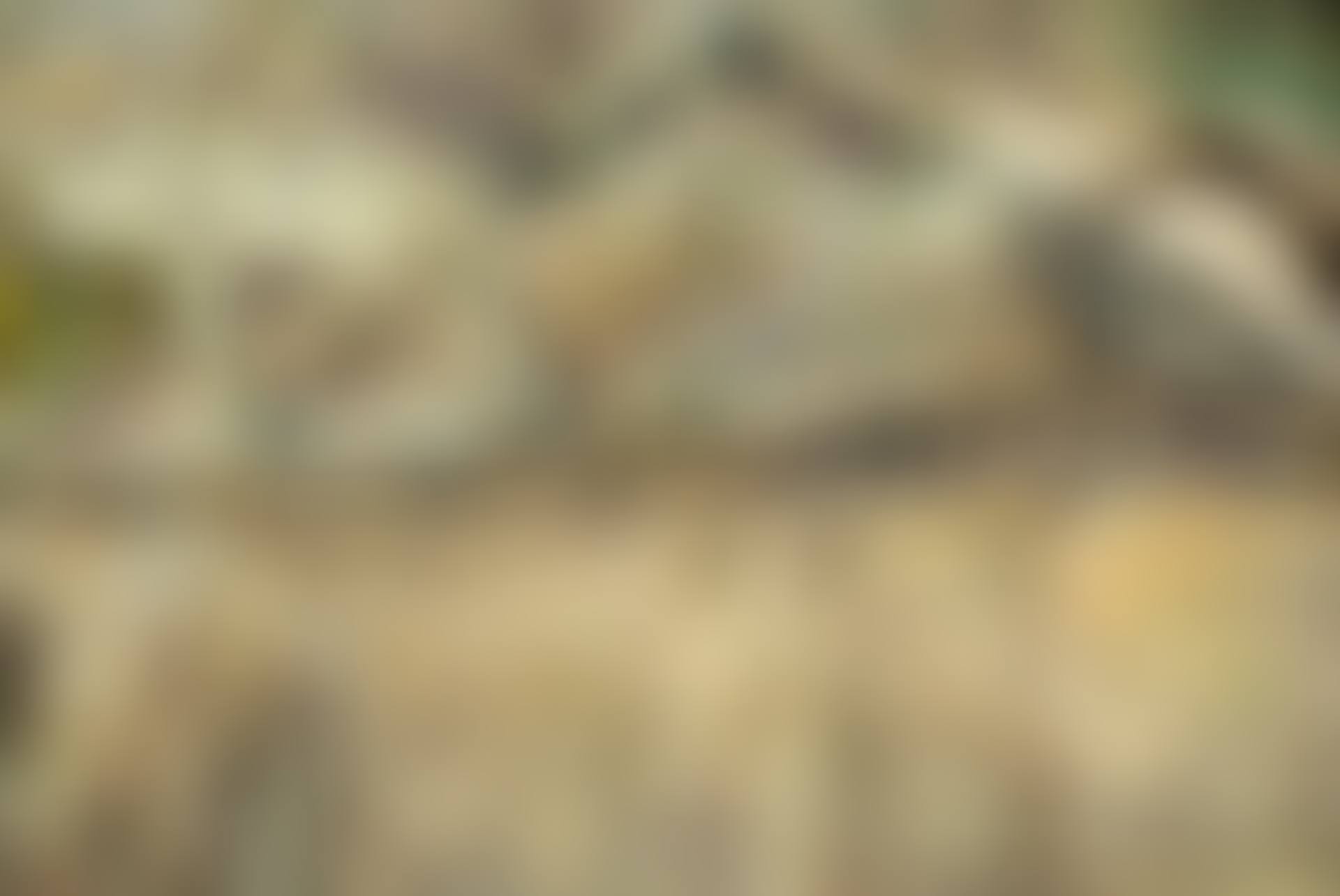 봄날 (preview)
