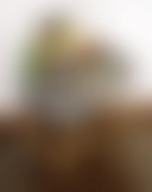 Fur Johann Joseph Fux (preview)