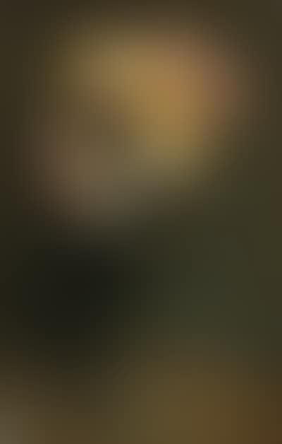 Chrysanthemes (preview)