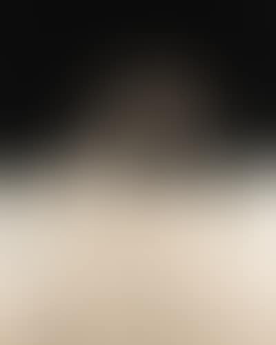 Retrato imaginario de Goya (preview)