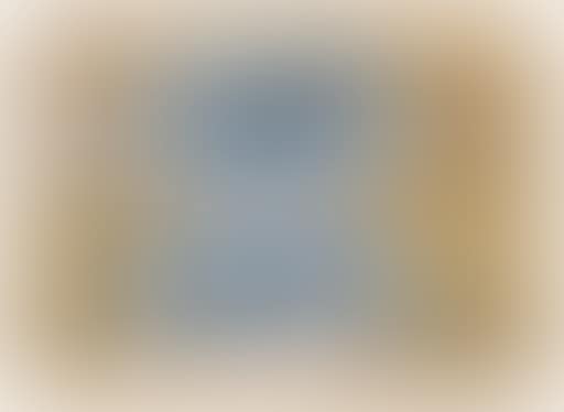 Still life (preview)