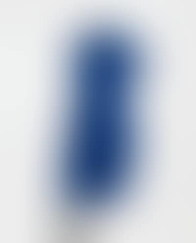 Venus bleue (preview)