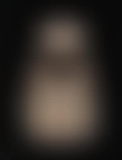 Le vase noir (preview)