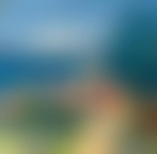 Saint-Tropez vu de la citadelle (preview)