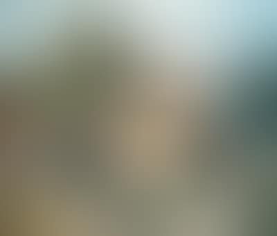 Le figuier (preview)