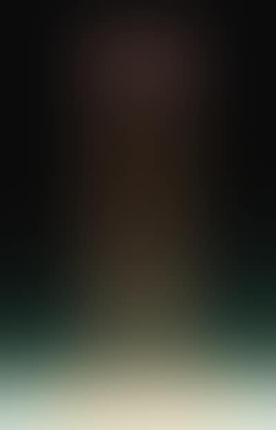 Untitled, tonal sculpture (preview)