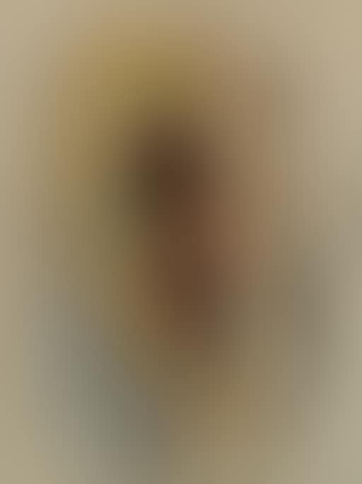 Dusting partridge (preview)