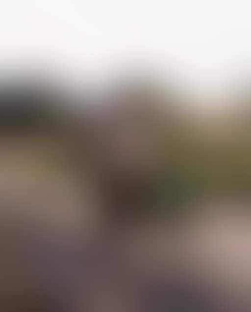 The Belvedere Antinous (preview)