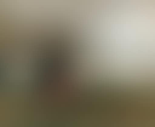 Coursing (preview)
