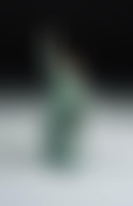The Statue of Liberty (preview)