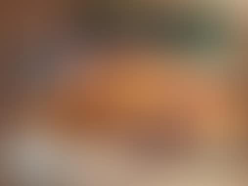 Dunghill behind farm (preview)
