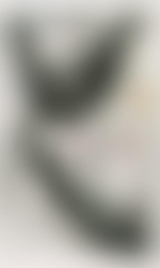 Le puisatier (preview)