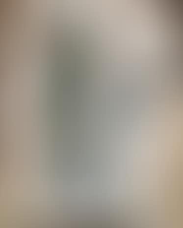 Alraunen (preview)