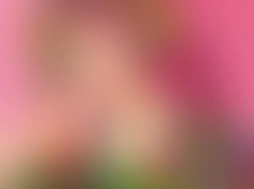 Lady with flowers in her hair (preview)
