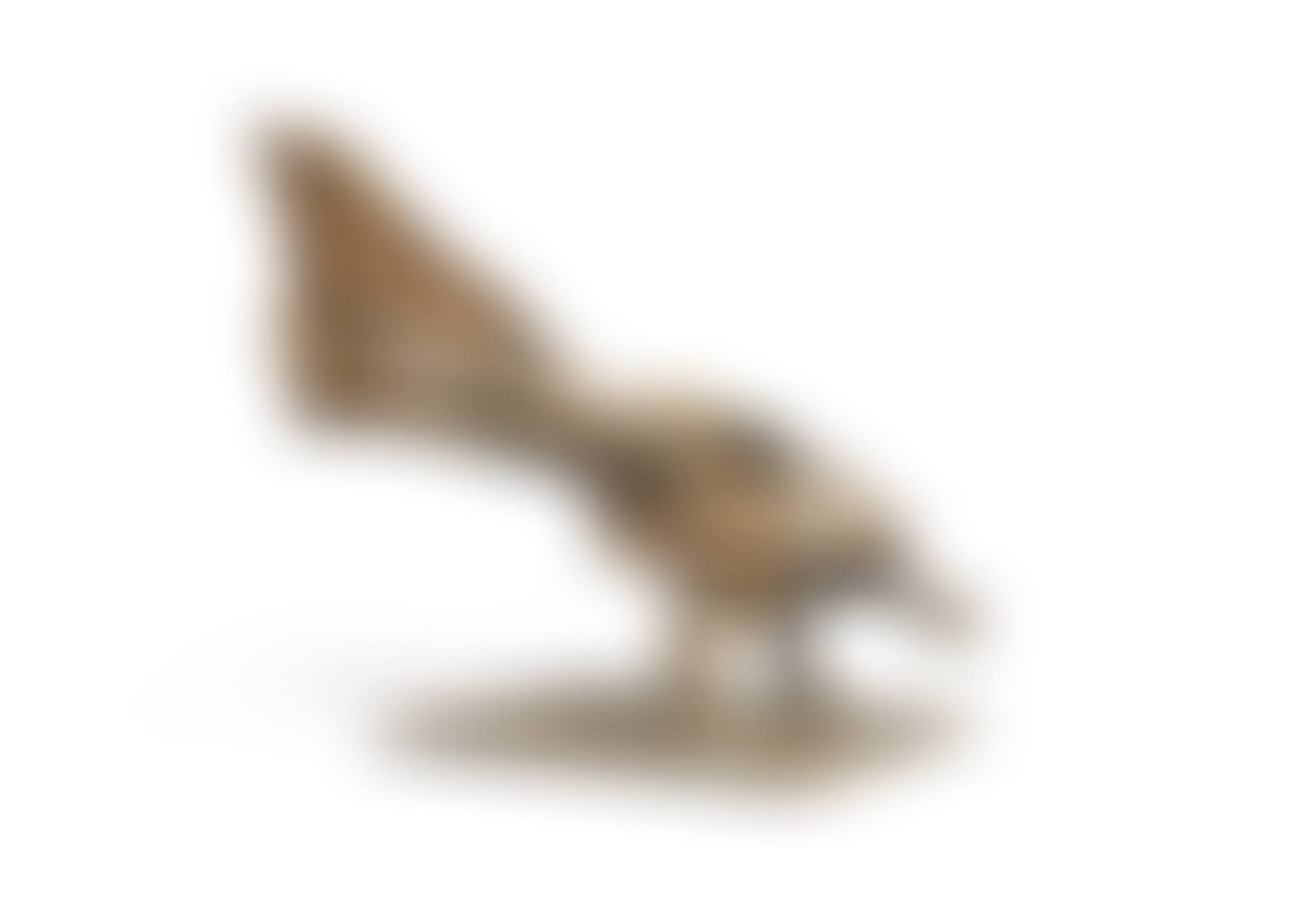 Poule paon or Les pieds au mur (preview)